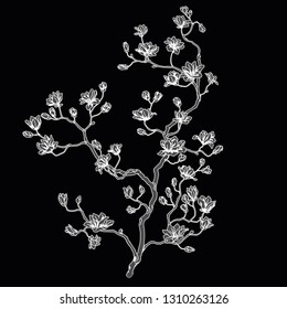 Chinese cherry silhouette