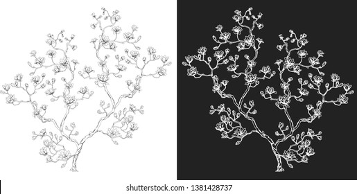 Chinese cherry, silhouette and linear drawing