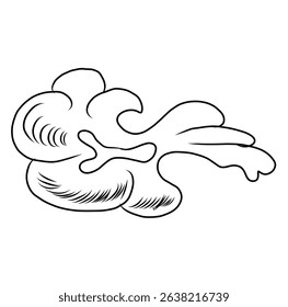 Chinese cloud vector for coloring book and printing on white background.Traditional Japanese culture element for tattoo design and idea.Cloud and wave illustration.Clip art.Fire vector