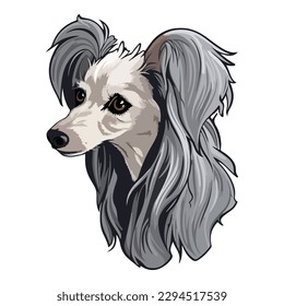 Chinese Crested Dog Flat Icon Isolated On White Background