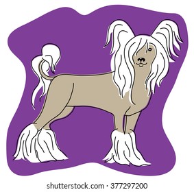 The Chinese crested dog is a hairless breed of dog, cartoon character.