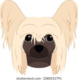 Perro criado chino aislado en ilustración vectorial de fondo blanco