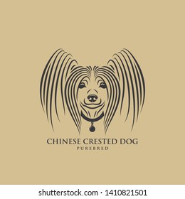 Chinese crested dog - isolated vector illustration