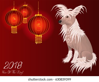 Chinese Crested Dog on a background with red lanterns. Earth dog is a symbol of year in 2018 by the zodiac animal calendar of China. Golden hieroglyph translates as "dog".
