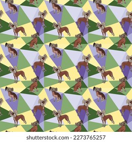 Chinese Crested dog on a mosaic geometric background. Funky, colorful vibe, rainbow colors palette. Simple, clean, modern texture. Geometric, polygon style. Summer seamless pattern with dogs.Triangles