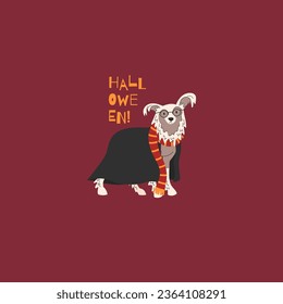 Chinese crested dog in school costume for Halloween. Happy Halloween vector illustration. Ideal for holiday cards, decorations, invitations and stickers