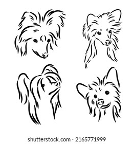 Chinese crested dog set, vector sketch chinese crested vector