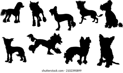 Chinese Crested Dog Silhouette Bundle SVG