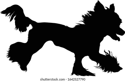 Chinese Crested Dog Silhouette Vector Found In Map Of Asia