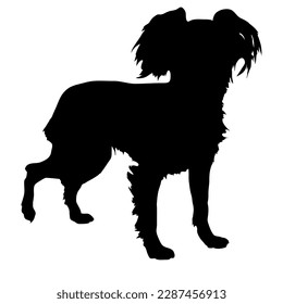 Chinese Crested Dog silhouette. Vector dog breeds