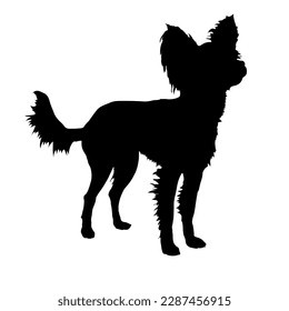 Chinesisch Schokoladenhunde Silhouette. Vektorhunderassen