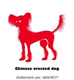 Chinese crested dog. Chinese zodiac symbol of 2018 year.