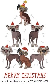 Chinese Crested dogs wearing winter hats. Cute funny dogs. Character design. Abstract Christmas tree. Vector illustration. Merry Christmas greeting card with cute funny dogs. Chinese Crested character