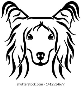 Chinese Crested head in black