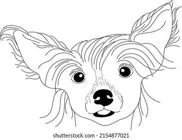 Chinese Crested Outline Art,Chinese Crested Dog, Pet Portrait,Line Art, Dog Tattoo, Line Drawing, Dog Art, Minimalist,Dog portraits,Painter Dog, Paint Your Pet, Sketch Art