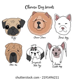 Chinese Dog Breed Cartoon Chart Vector Illustration