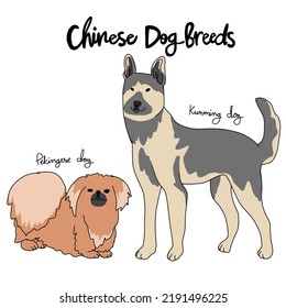 Chinese Dog Breed Cartoon Chart Vector Illustration