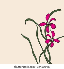 Chinese doodle element drawing pink orchid on background. Vector illustration.