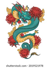 Chinese dragon with chrysanthemum flowers  hand drawn vector illustration. Tattoo print. Hand drawn sketch illustration for t-shirt print, fabric and other uses.