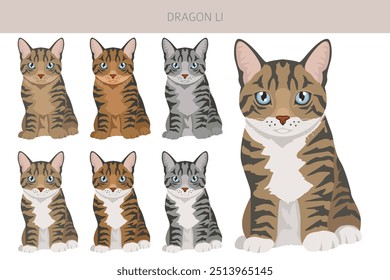 Chinese Dragon Li Cat clipart. All coat colors set.  All cat breeds characteristics infographic. Vector illustration