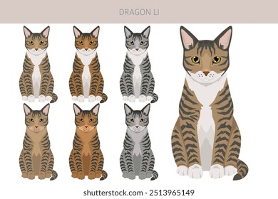 Chinês Dragão Li Cat clipart. Todas as cores do casaco definido.  Todas as raças de gato características infográfico. Ilustração vetorial