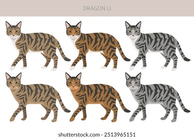 Chinesischer Drache Li Cat Clipart. Alle Fellfarben eingestellt.  Alle Katze Rassen Merkmale Infografik. Vektorgrafik