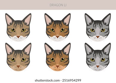 Chinesischer Drache Li Cat Clipart. Alle Fellfarben eingestellt.  Alle Katze Rassen Merkmale Infografik. Vektorgrafik