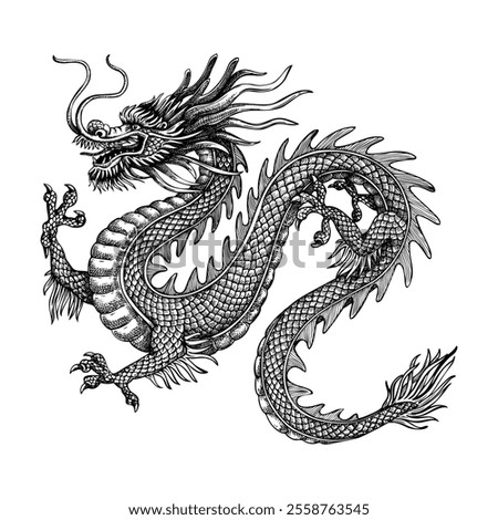 Chinese dragon sketch. Hand-drawn vector illustration. Traditional China mythical animal drawing. NOT AI generated