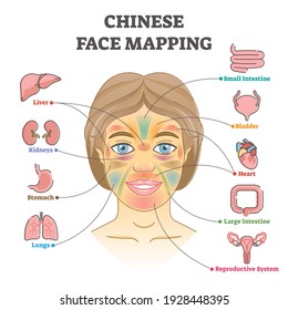 Chinese face mapping as alternative medicine health diagnosis outline diagram. Internal disease detection using skin condition checkup on specific head regions, locations and areas vector illustration