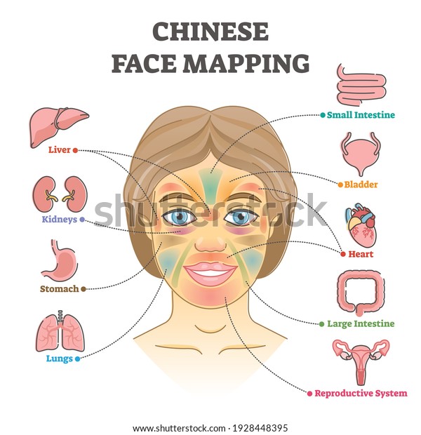 Chinese Face Mapping Alternative Medicine Health Stock Vector Royalty Chinese Face Mapping Alternative Medicine Health Stock Vector Royalty