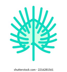 chinese fan palm color icon vector. chinese fan palm sign. isolated symbol illustration
