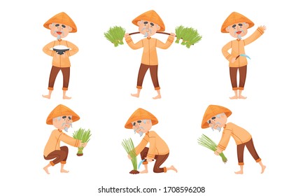 Chinese Farmer in Conical Hat Planting and Gathering Rice Vector Set