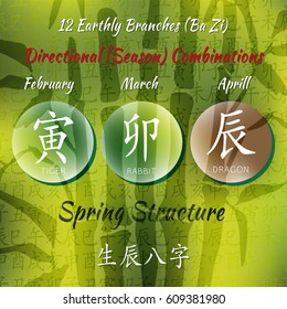 Chinese feng shui horoscope letters. Ba zi Combinations. Translation of 12 zodiac animals, feng shui signs hieroglyph- Rat, Ox, Tiger, Rabbit, Dragon, Snake, Horse, Goat, Monkey, Rooster, Dog, Pig. 