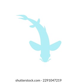 Chinese fish carp top view icon sign isolated. Vector illustration
