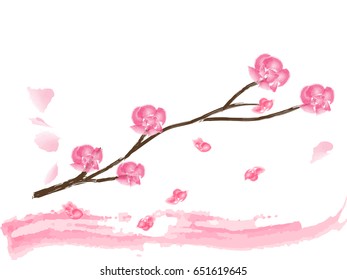 Chinese flowers