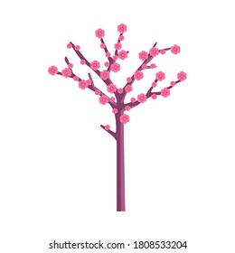 Chinese flowers tree design, China culture asia and oriental theme Vector illustration