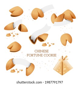 Chinese fortune cookies with blank paper template. Set: open and closed fortune cookies. Vector, isolated  on white background. 