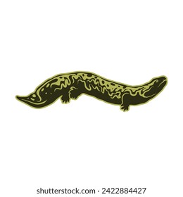 Chinese giant salamander, Hellbender icon, Salamander vector design illustration