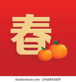 Chinese gold spring characters design with mandarins orange illustration vector. Translation: Spring.