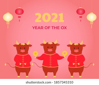 Chinese Happy new year 2021. Bull, ox, cow. Lunar horoscope sign.