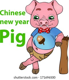 Chinese horoscope / animals from a horoscope