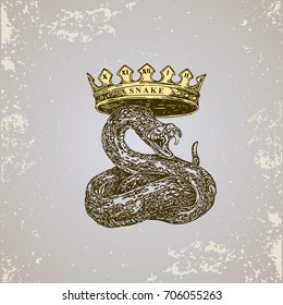 Chinese horoscope. Snake. Sketch tattoo. Vector illustration.