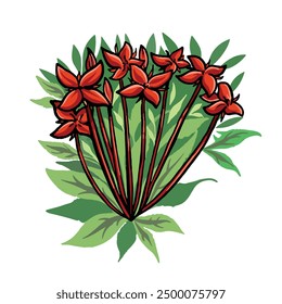 Chinese ixora flowers illustration isolated on square white background. Colorful illustration with cartoon art styled drawing.