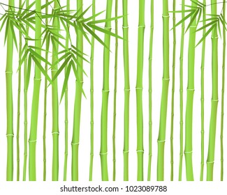 Chinese or japanese bamboo grass oriental wallpaper vector illustration. Tropical asian plant background