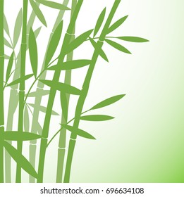 Chinese or japanese bamboo grass oriental wallpaper stock vector illustration. Tropical asian plant background