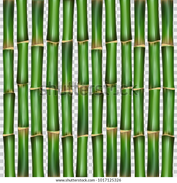 中国または日本の笹の東洋の壁紙ベクターイラスト 熱帯のアジアの植物の背景 竹の柱を壁またはカーテンとしてイメージ デザインとビジネス用のベクターイラスト のベクター画像素材 ロイヤリティフリー