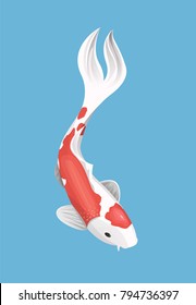 Chinese japanese koi fish red carp animal isolated