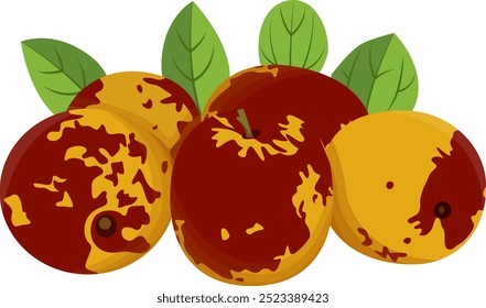 Chinese Jujube Fruits	with Leaves Illustration Isolated on White Background