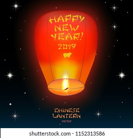 Chinese lantern 2019 year lantern, which flying in the night sky star with silhouette of dog, symbol of the year and congratulations on it