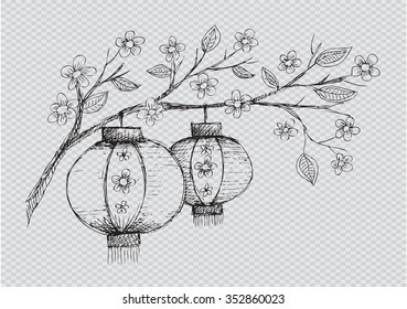 Chinese Lantern hang on tree
